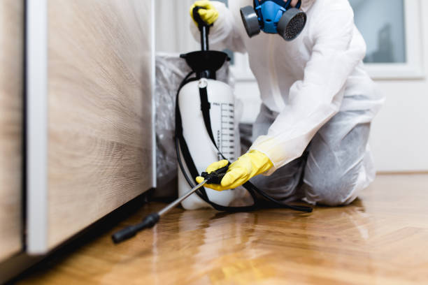 Best Emergency Pest Control  in West Jordan, UT