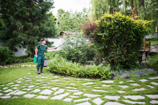 Best Cockroach Control Services  in West Jordan, UT