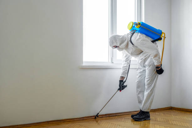 Best Pest Prevention Services  in West Jordan, UT