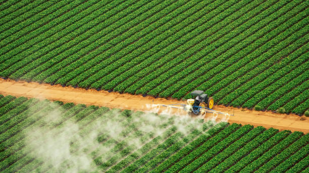 Best Commercial Pest Control Services  in West Jordan, UT
