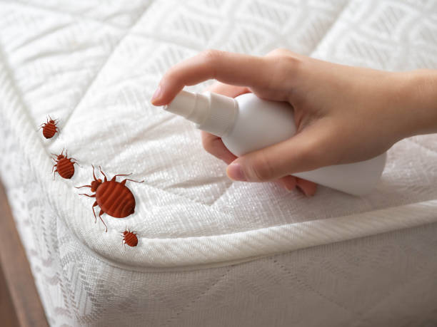 Best Residential Pest Control  in West Jordan, UT