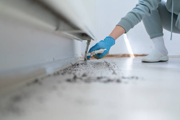 Best Wildlife Control Services  in West Jordan, UT
