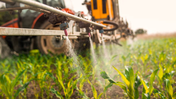 Best Commercial Pest Control Services  in West Jordan, UT