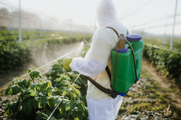 Flea Control Services in West Jordan, UT